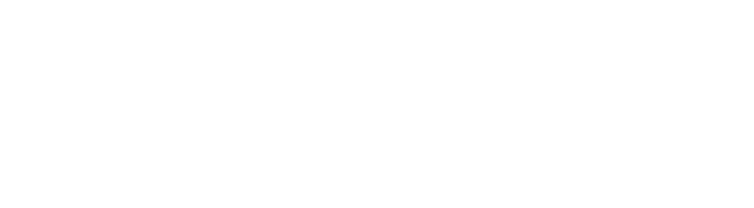 Bilan Chiropractic Logo